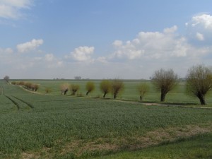 Boiensdorf - Landschaft 3
